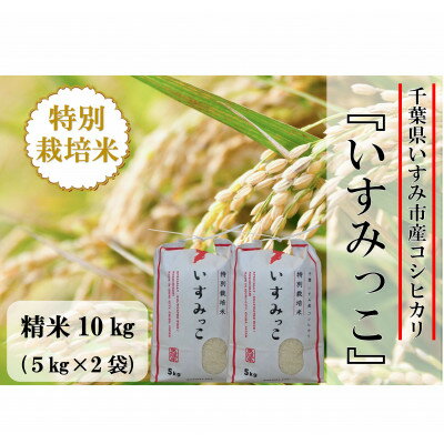 27位! 口コミ数「0件」評価「0」【令和5年産米】千葉県いすみ市産特別栽培米コシヒカリ『いすみっこ』精米10kg(5kg×2袋)【1445859】