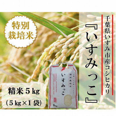 [令和5年産米]千葉県いすみ市産特別栽培米コシヒカリ『いすみっこ』精米5kg(5kg×1袋)
