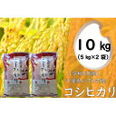 【ふるさと納税】【令和5年産】　関東一早場米産地　千葉県いすみ市産　コシヒカリ精米10kg(5kg×2袋)【1445863】