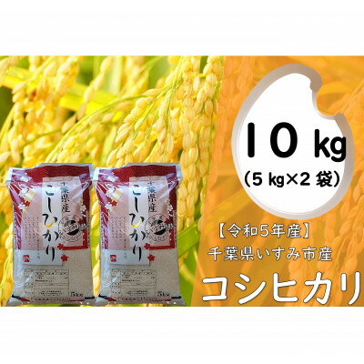 【令和5年産】　関東一早場米産地　千葉県いすみ市産　コシヒカリ精米10kg(5kg×2袋)【1445863】