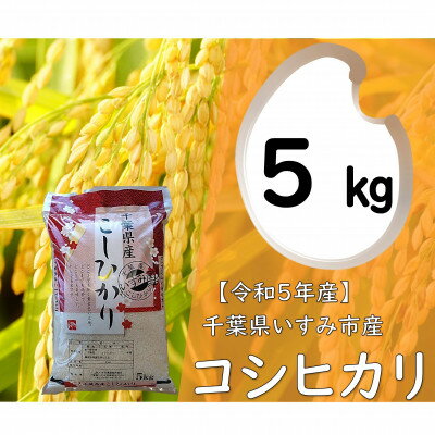 【ふるさと納税】【令和5年産】　関東一早場米産地　千葉県いすみ市産　コシヒカリ精米5kg【1445864】