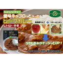 【ふるさと納税】美味安心ビーフカレーレトルト 1人前190g×6個【1461802】
