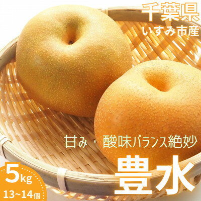 【ふるさと納税】いすみ市産豊水梨　約5kg(13～14個)【