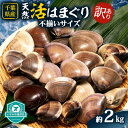 【ふるさと納税】(( 訳あり )) 天然活はまぐり 約2.0kg【配送不可地域:離島・沖縄県】【1472198】