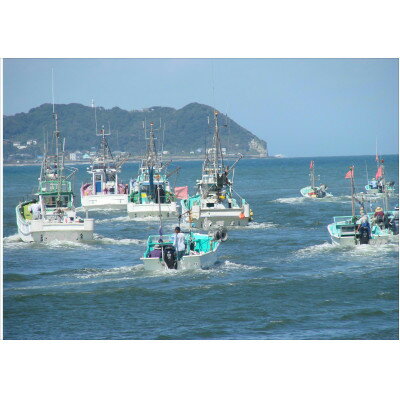 千葉県いすみ市の画像3