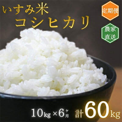 【毎月定期便】千葉県いすみ市産 コシヒカリ10kg 全6回【4000624】