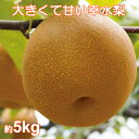 【ふるさと納税】A618 大きくて甘いと評判!千葉県いすみ市...