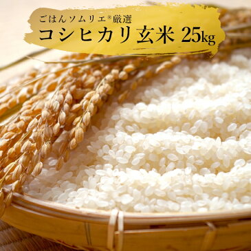 【ふるさと納税】 米 25kg 玄米 送料無料 コシヒカリ こしひかり 白米 25キロ ごはんソムリエ厳選 真空米びつ付