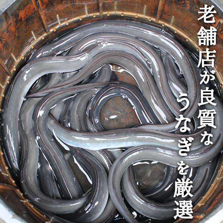 記事番号:34456/アイテムID:449412の画像