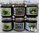 【ふるさと納税】 ジャム 国産 1kg超 ブルーベリー 送料...