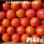 【ふるさと納税】A606 ごじゃ箱の樹で熟した絶品トマト