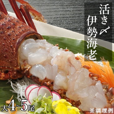 【ふるさと納税】 伊勢海老 活け締め 大4〜5尾 冷凍 伊勢えび 伊勢エビ 活〆 活け〆 活き締め 活き〆 刺身 おせち