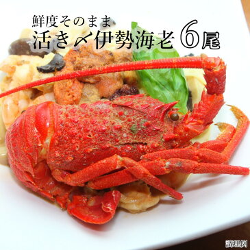 【ふるさと納税】 伊勢海老 活け締め 6尾 冷凍 伊勢えび 伊勢エビ 味噌汁 鍋 おせち