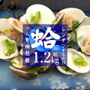 【ふるさと納税】 はまぐり ハマグリ 蛤 国産 1kg超 1.25kg 千葉県産 冷凍 レンチン 送料無料
