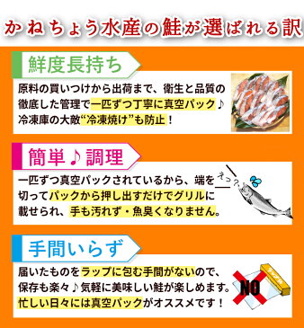 【ふるさと納税】 鮭 切り身 冷凍 1kg超 1360g 真空パック 1切れずつ 個包装 送料無料 さけ サケ