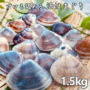 隔...
-
![【ふるさと納税】 はまぐり ハマグリ 国産 天然 送料無料 ...