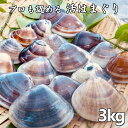【ふるさと納税】 はまぐり ハマグリ 国産 天然 送料無料 ...