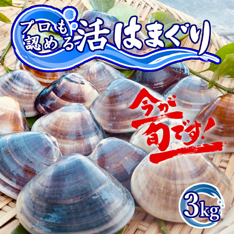 上手に焼けるはまぐりの焼き方3つのポイント もう失敗なんてしない 暮らし の