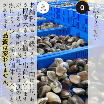 【ふるさと納税】 訳あり はまぐり ハマグリ 蛤 増量 国産 天然 砂抜き 送料無料 3kg 千葉県産 九十九里産 レシピ 10月~7月発送 期間限定 コロナ支援 酒蒸し 焼き蛤 BBQ おせち お雑煮 お吸い物 貝 わけあり ※2/20~3/2発送不可