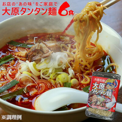 千葉県いすみ市 【ふるさと納税】 担々麺 坦々麺 担担麺 坦坦麺 タンタン麺 6食 ラーメン 辛