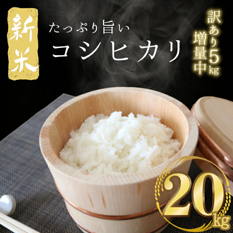 【ふるさと納税】 訳あり 米 20kg 送料無料 コシヒカリ こしひかり 令和3年産 白米 20キロ