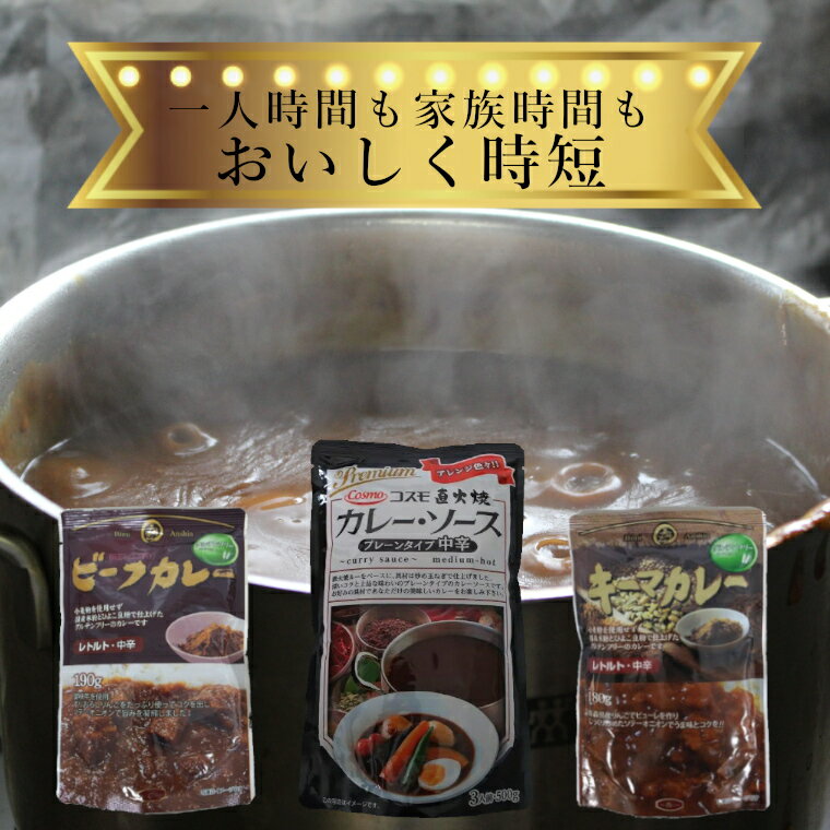 【ふるさと納税】 カレー レトルト 詰め合わせ 2kg超 ビーフ キーマ カレーソース レトルトカレー4人前 カレーソース9人前