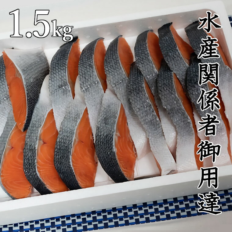 さけ サケ しゃけ 鮭 銀鮭 切り身 冷凍 1kg超 1.5kg 送料無料