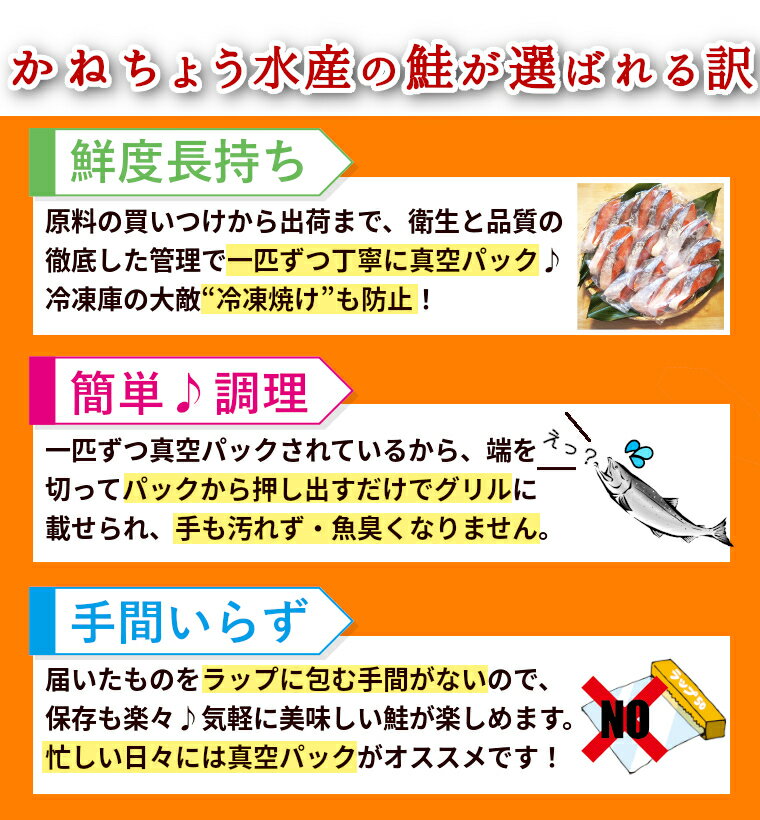 【ふるさと納税】 鮭 切身三昧 ( 切身 17枚 )_ 切り身 切身 さけ サケ シャケ 魚 お弁当 おかず 冷凍 人気 海鮮 小分け 【配送不可地域：離島】【1073885】