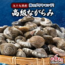【ふるさと納税】海のダイヤモンド!高級ながらみ(冷凍)約6.0kg【配送不可地域:離島】【1226373】