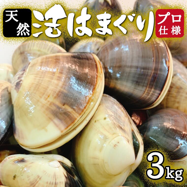 【ふるさと納税】【ふるさと納税】天然はまぐり約3kg (千葉県産)【配送不可地域：離島・北海道・沖縄県・東北・中国・四国・九州】【1306039】