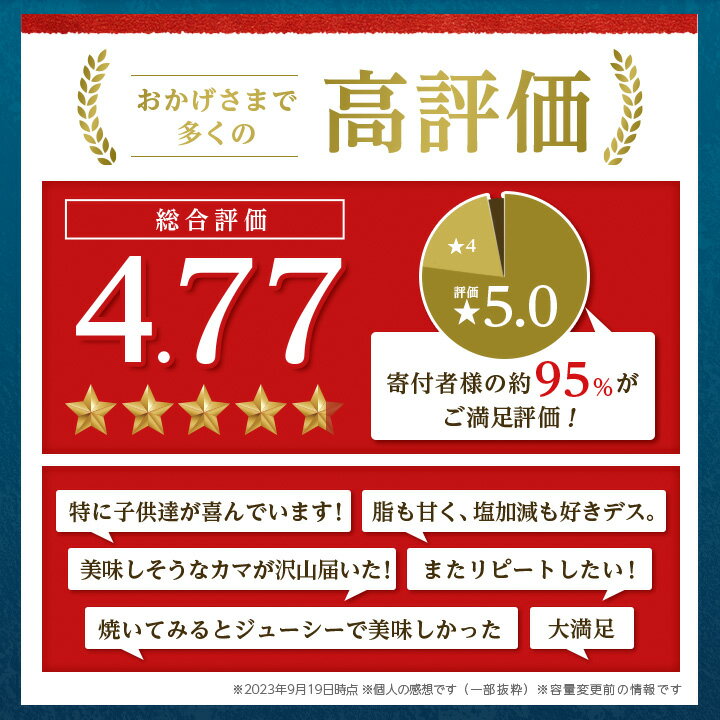 【ふるさと納税】【 訳あり 】 銀鮭 カマ (約3kg) 鮭 さけ サケ シャケ 魚 お弁当 おかず 冷凍 人気 海鮮 【配送不可地域：離島】【1389618】