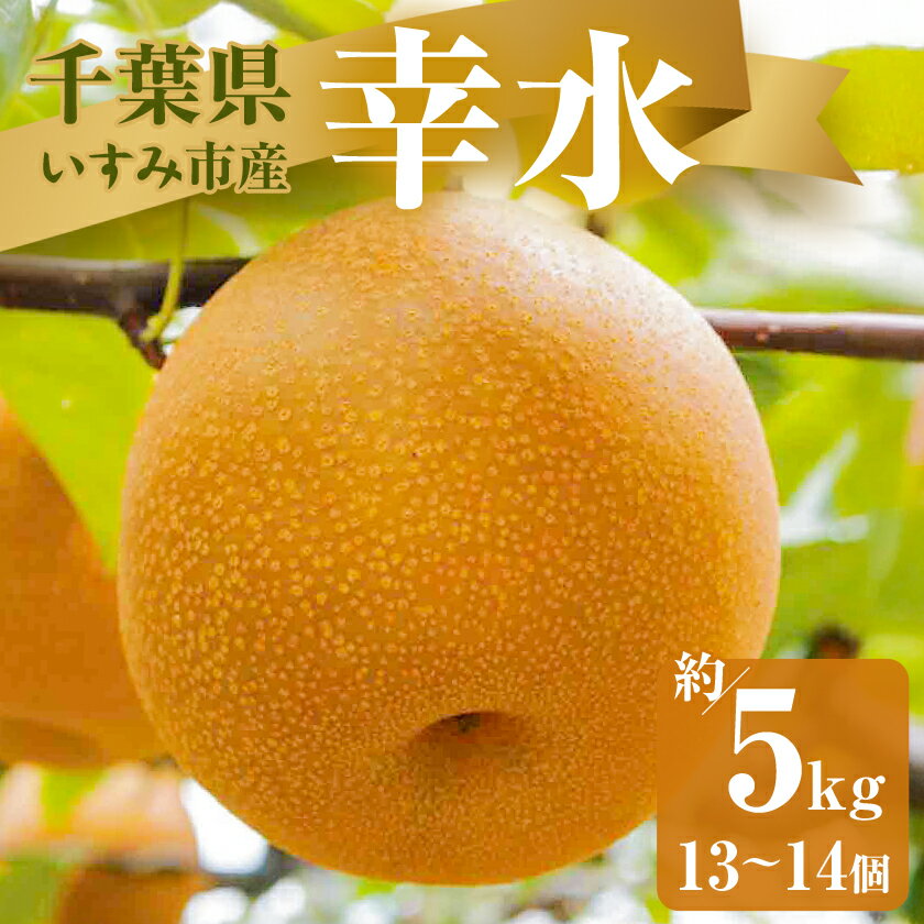 【ふるさと納税】【2025年発送先行予約】いすみ市産幸水梨　約5kg(13～14個)【1462339】のサムネイル