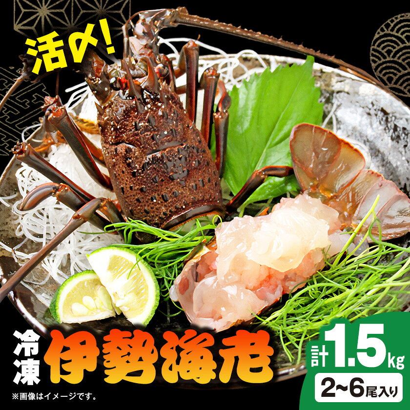 【ふるさと納税】活〆冷凍伊勢海老 1.5kg_ 伊勢海老 いせえび イセエビ 海鮮 高級 美味しい 人気 冷凍 【配送不可地域：離島】【1719382】