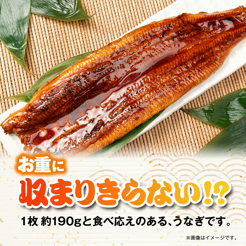 【ふるさと納税】うなぎ長蒲焼約760g(約190g×4)【配送不可地域：離島】【1743620】 f122386-isumi-10000823 千葉県いすみ市 サンプル画像2