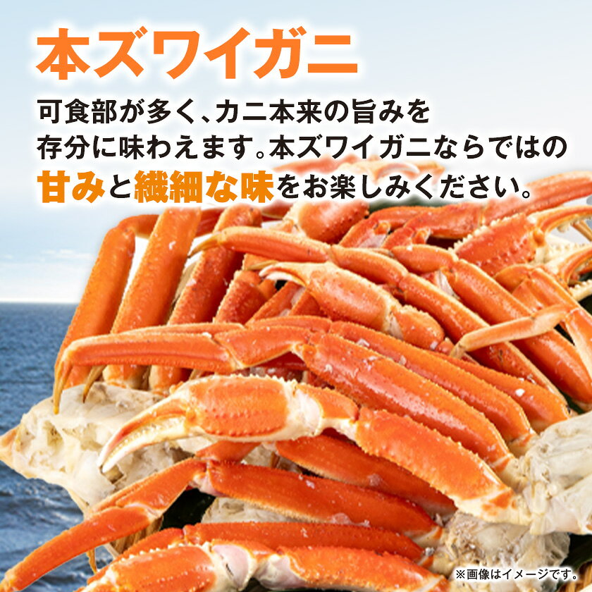 【ふるさと納税】生本ズワイガニしゃぶしゃぶセット2.6kg【配送不可地域：離島】【1743630】