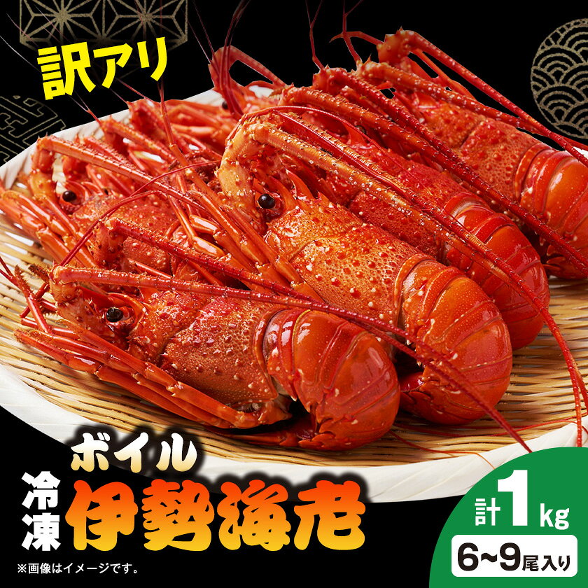 訳アリボイル伊勢海老1kg(約6-9尾入り)[配送不可地域:離島]