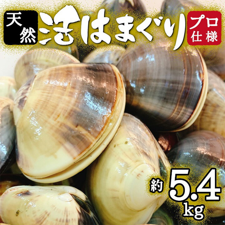 名称 プロも認める 活はまぐり 国産 天然 約5.4kg 千葉県 九十九里産 _ 蛤 ハマグリ 魚貝 魚介 海鮮 貝 出汁 だし プロ仕様 人気 送料無料 保存方法 冷蔵 発送時期 2024年5月より順次発送※生産・天候・交通等の事情により遅れる場合があります。 提供元 丸大水産 配達外のエリア 離島、沖縄県 お礼品の特徴 千葉県ブランドとして認定されている九十九里産地はまぐり。 よりおいしく安心して食べられるよう千葉県いすみ市大原の海水を使用し、独自に導入した設備により海水を殺菌して砂抜きを行っています。 日本有数のホテルや料理店からも認められ、高値で取引されるはまぐりです。はまぐりを添えると食卓やBBQが一味も二味も豊かになります。 おせちのお吸い物にもぴったりです! 砂抜きをしてありますので、お届け後すぐに調理できます。 ■生産者の声 新型コロナウイルス感染症の拡大防止に伴う影響により、卸先の飲食店の休業等で、供給過多となっております。 ■お礼品の内容について ・千葉県　九十九里産　活はまぐり[約5.4kg] 　　原産地:千葉県　九十九里産 　　消費期限:出荷日+4日 ■原材料・成分 はまぐり ■注意事項/その他 ※生もののため、賞味期限に関わらず、お早めにお召し上がりください。 ※気候変動等に伴う海水温の状況によって発送までにお時間をいただく場合がございます。 ※丸大水産の取扱品につきましては、品質など万全を期して発送いたしておりますが、活き物であり個体差もあるため、お届け時には発送時と異なる状態の場合もございます。 ※貝類には鮮度とは関係なく菌が付着している場合があり、体調が優れない方が召し上がると中毒症状が現れる可能性がございます。 ※召し上がって体調を崩された場合は、提供元・自治体は責任を負いかねます。 ・ふるさと納税よくある質問はこちら ・寄附申込みのキャンセル、返礼品の変更・返品はできません。あらかじめご了承ください。このお礼品は以下の地域にはお届けできません。 ご注意ください。 離島、沖縄県