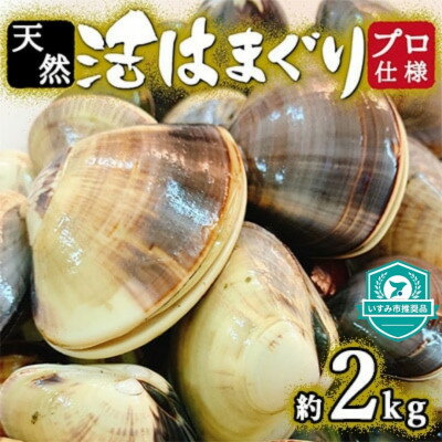 プロも認める 活はまぐり 国産 天然 約2.0kg 千葉県産 九十九里産 _ 蛤 ハマグリ 魚貝 魚介 海鮮 貝 出汁 だし プロ仕様 人気 送料無料 [配送不可地域:離島・沖縄県]