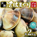 【ふるさと納税】プロも認める 活はまぐり 国産 天然 約2.0kg 千葉県産 九十九里産 _ 蛤 ハマグリ 魚貝 魚介 海鮮 貝…