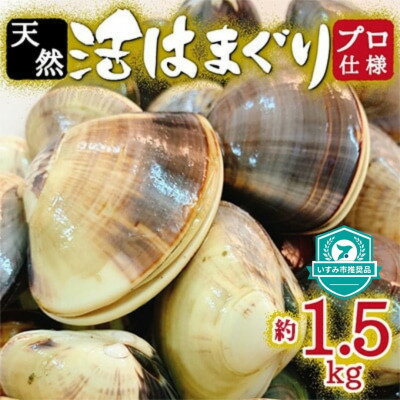 【ふるさと納税】 天然 はまぐり 約1.5kg ( 千葉県産 ) _ 蛤 ハマグリ 魚貝 魚介 海鮮 貝 出汁 だし プ..