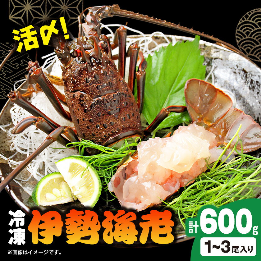 活〆冷凍伊勢海老600g_ 美味しい 人気 高級 伊勢海老 エビ 海鮮 贈答 [配送不可地域:離島]