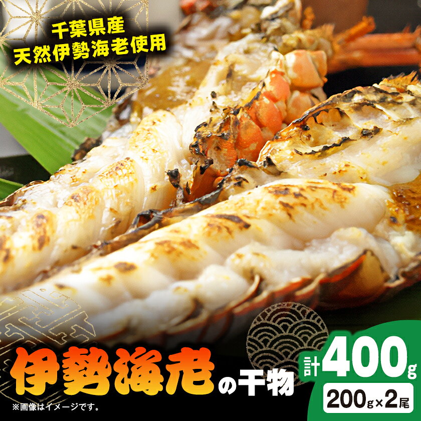 伊勢海老の干物200g×2尾_ 美味しい 人気 高級 伊勢海老 エビ 干物 海鮮 【配送不可地域：離島】【1607616】