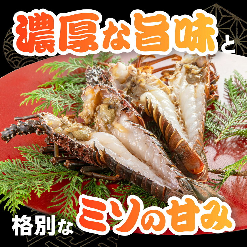 【ふるさと納税】伊勢海老の干物200g×2尾_ 美味しい 人気 高級 伊勢海老 エビ 干物 海鮮 【配送不可地域：離島】【1607616】 f122386-isumi-10000737 千葉県いすみ市 サンプル画像3