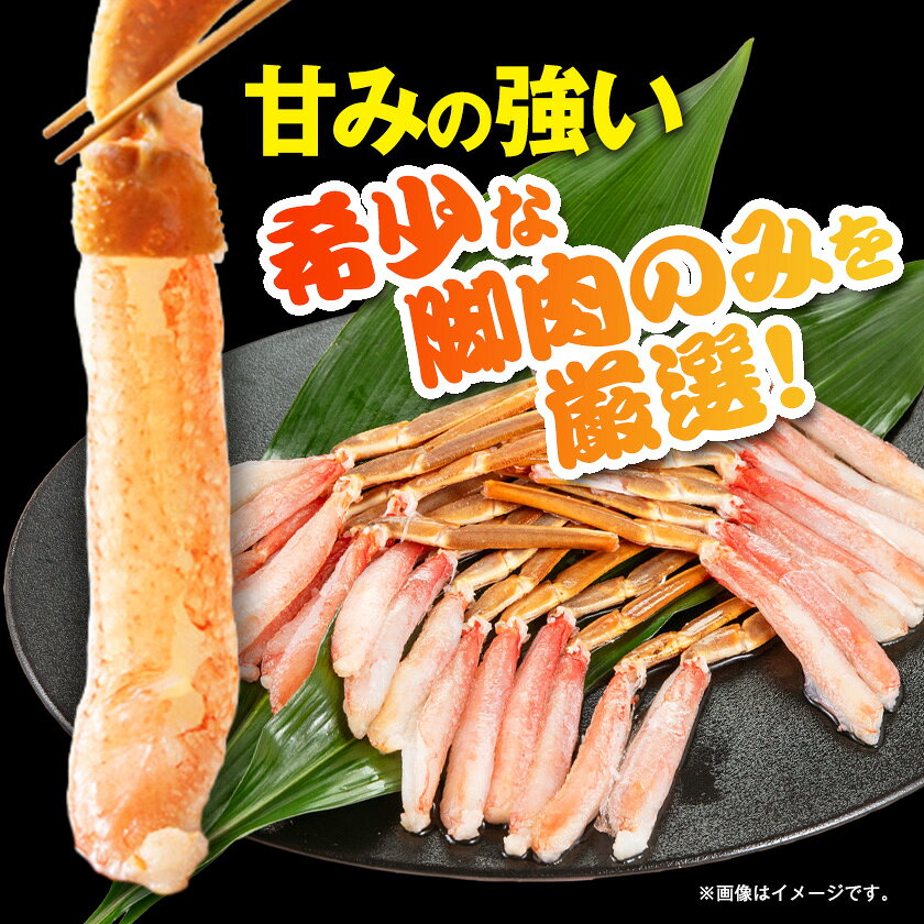 【ふるさと納税】生本ズワイガニ脚肉むき身500g_ 美味しい 人気 海鮮 ズワイガニ 蟹 カニ 鍋 贅沢 【配送不可地域：離島】【1607604】 f122386-isumi-10000741 千葉県いすみ市 サンプル画像3