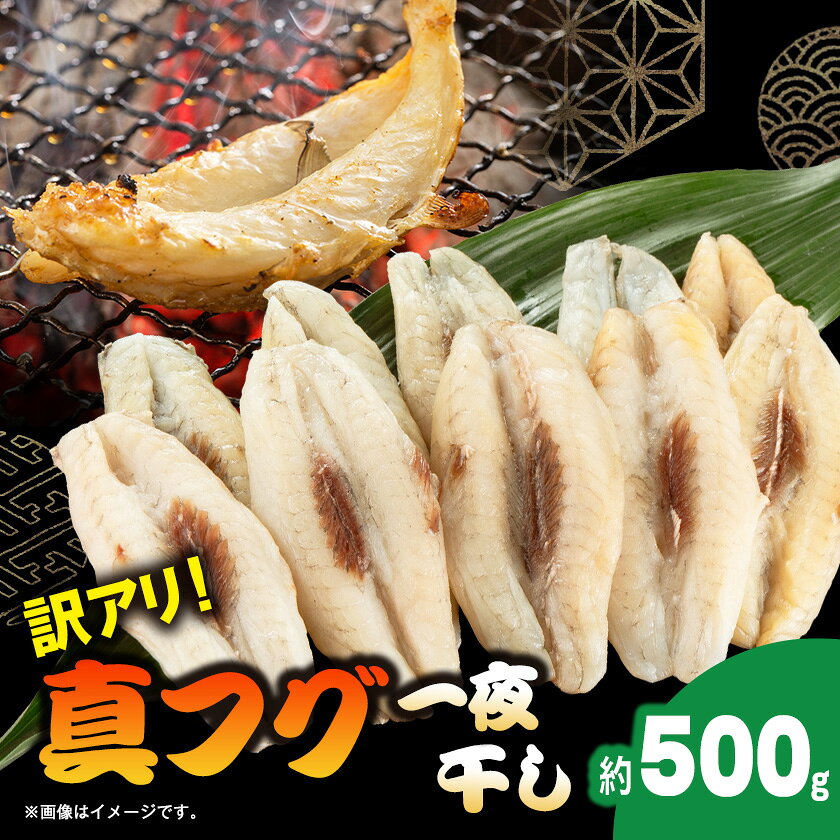 【訳アリ】真フグ一夜干し約500g_ 訳あり 美味しい 人気 フグ 河豚 干物 魚 【配送不可地域：離島】【1608831】