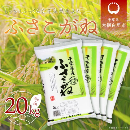 令和5年産 千葉県産「ふさこがね」20kg（5kg×4袋） お米 20kg 千葉県産 大網白里市 ふさこがね 米 精米 こめ 送料無料 A005