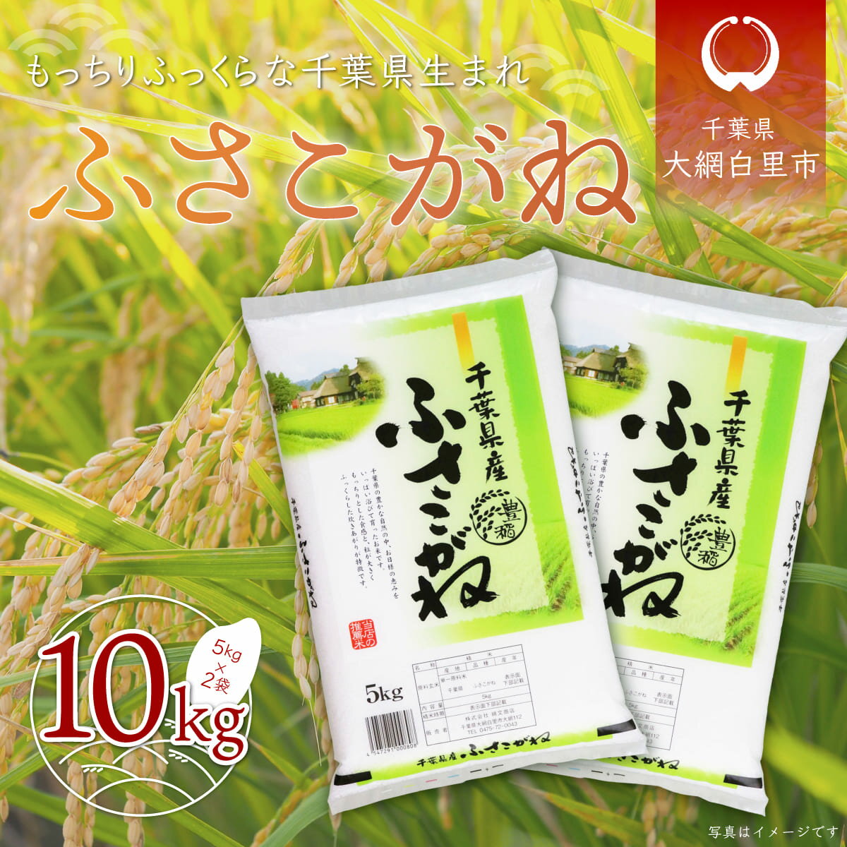 【ふるさと納税】令和5年産 千葉県産「ふさこがね」10kg（5kg×2袋） お米 10kg 千葉県産 大網白里市 ふさこがね 米 精米 こめ 送料無料 A004