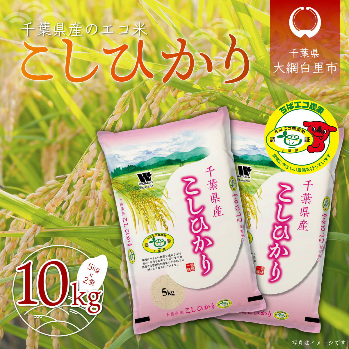 【ふるさと納税】令和3年産 千葉県産エコ米「コシヒカリ」10kg（5kg×2袋）ふる...