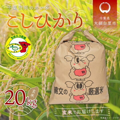 令和5年産 千葉県産エコ米「コシヒカリ」玄米20kg（20kg×1袋） お米 20kg 千葉県産 大網白里市 コシヒカリ エコ米 米 玄米 こめ 送料無料 A008