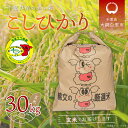 【ふるさと納税】令和5年産 千葉県産エコ米「コシヒカリ」玄米